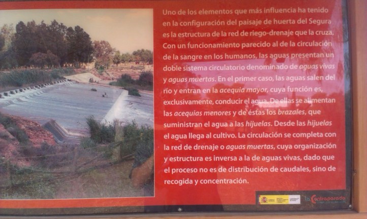 Aguas vivas: acequias, brazales, hijuelas y aguas muertas