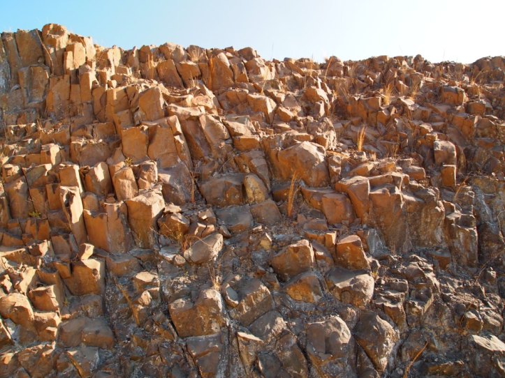 Disyunción columnar